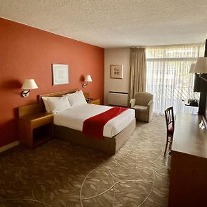 Standaard Kamer met een King Size Bed